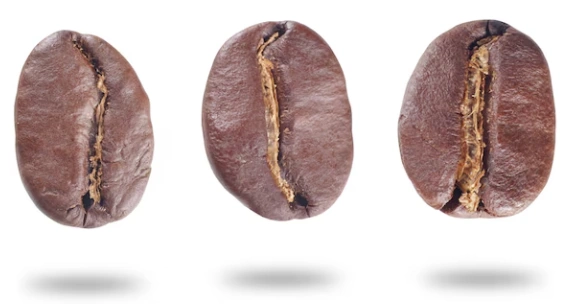 Café en grains types