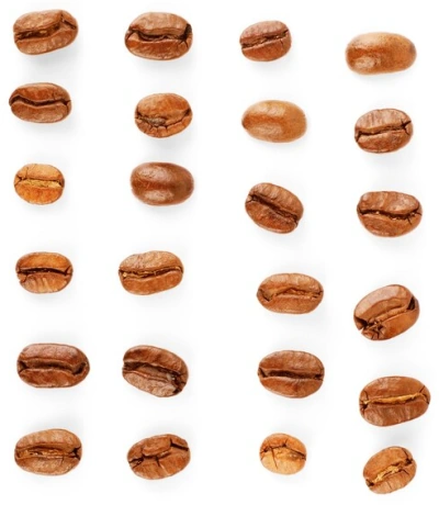 Comment choisir Café en grains